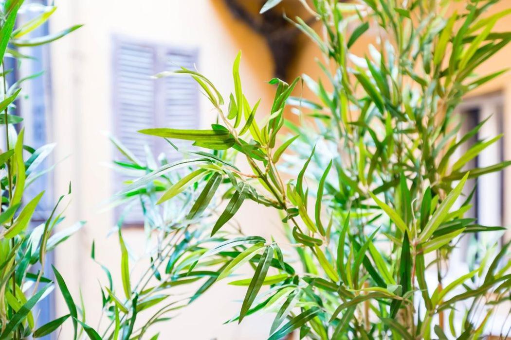 Spanish Step Nest Luxury Roma Ngoại thất bức ảnh