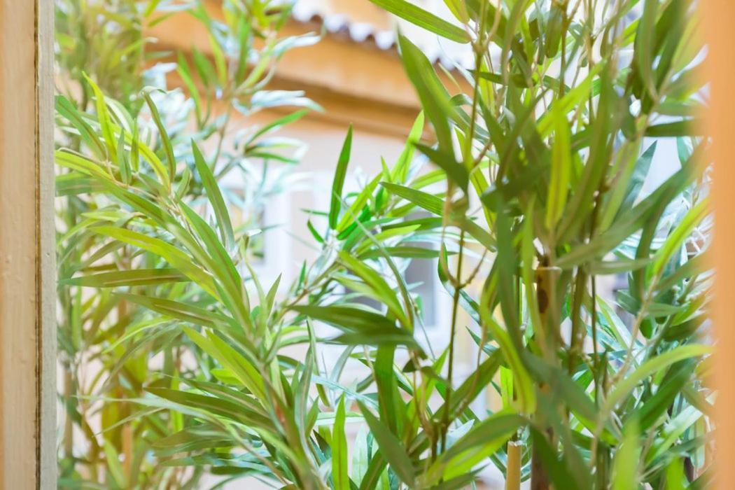 Spanish Step Nest Luxury Roma Ngoại thất bức ảnh